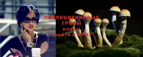 марихуана Абаза