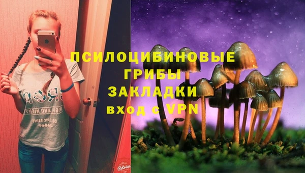 ешки Абинск