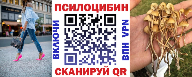 Псилоцибиновые грибы мицелий  Чегем 