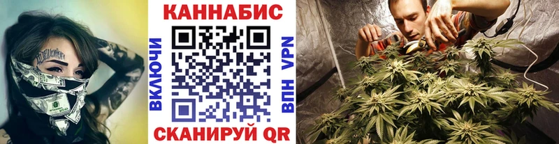 Марихуана сатива  Чегем 